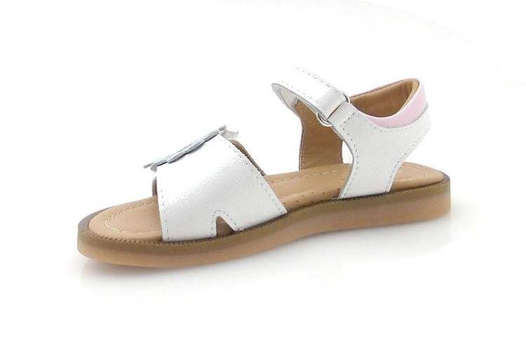 Bana&Co 2126-Cay (260181) - Reynders - Daenen