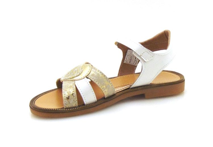 Bana&Co 22132221 (220250) - Reynders - Daenen