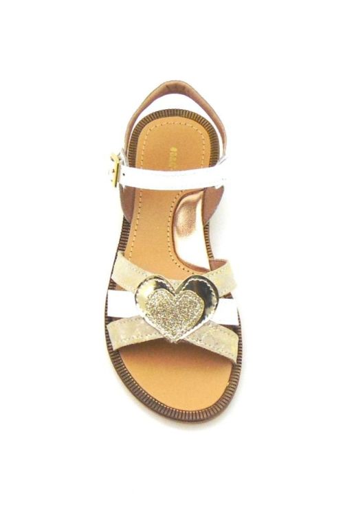 Bana&Co 22132221 (220250) - Reynders - Daenen