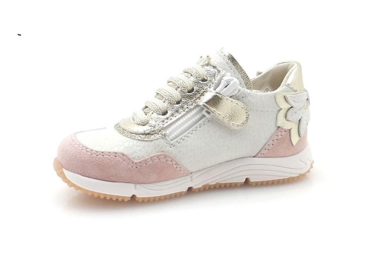 Banaline 2020 (260074) - Reynders - Daenen