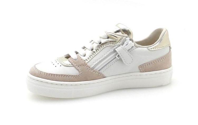 Banaline 2036 (260074) - Reynders - Daenen