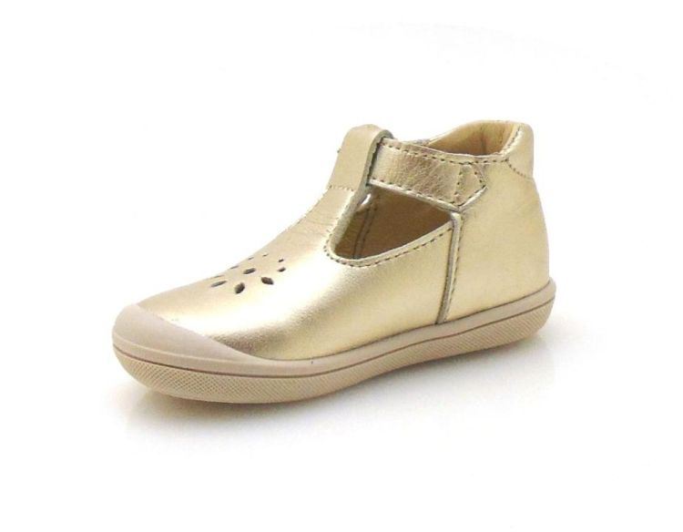BELLAMY 114 004 Adelie (250384) - Reynders - Daenen