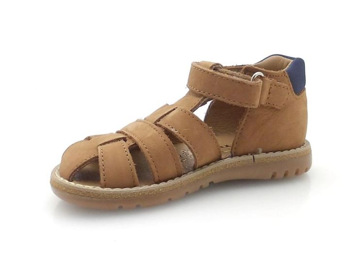 BELLAMY 280 002 pierro (260325) - Reynders - Daenen