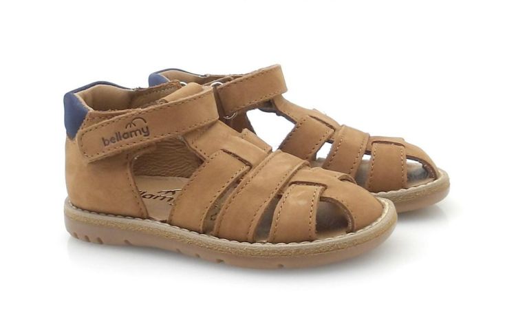 BELLAMY 280 002 pierro (260325) - Reynders - Daenen