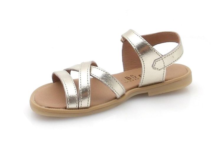 BELLAMY 367 003 audrey (260325) - Reynders - Daenen