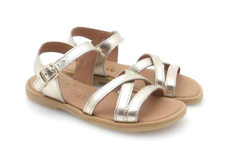 BELLAMY 367 003 audrey (260325) - Reynders - Daenen