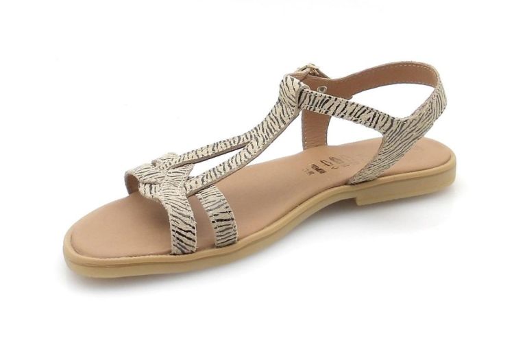 BELLAMY 380 005 jilou (260325) - Reynders - Daenen