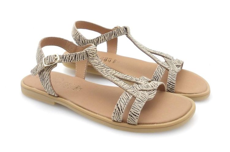 BELLAMY 380 005 jilou (260325) - Reynders - Daenen