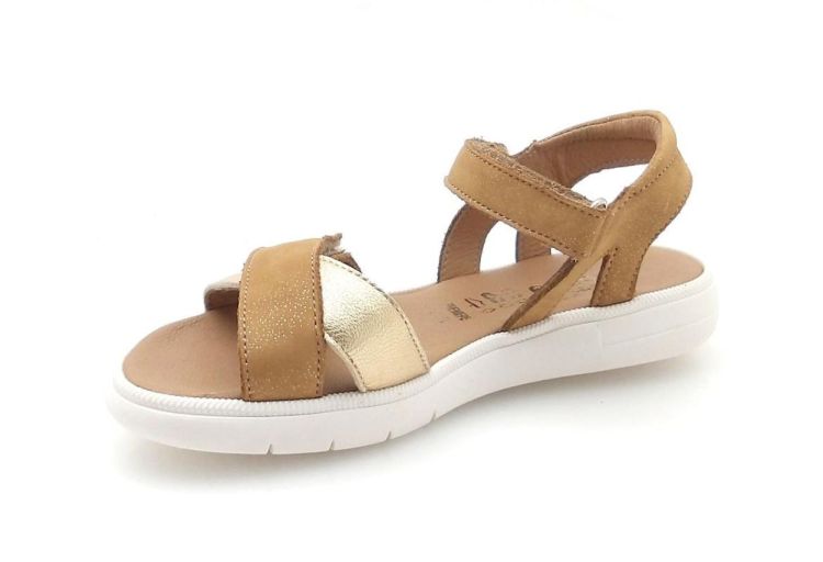 BELLAMY 395 005 evi (260325) - Reynders - Daenen