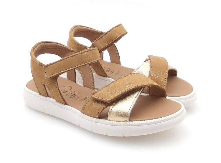 BELLAMY 395 005 evi (260325) - Reynders - Daenen