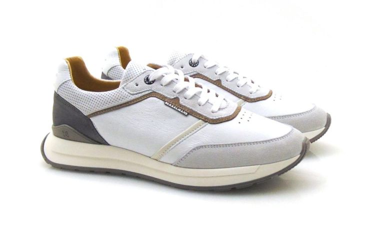 Berkelmans Hondo (250158-366) - Reynders - Daenen