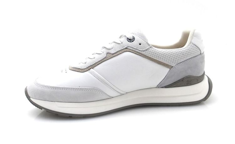 Berkelmans Hondo (260115) - Reynders - Daenen