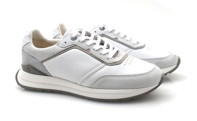 Berkelmans Hondo (260115) - Reynders - Daenen