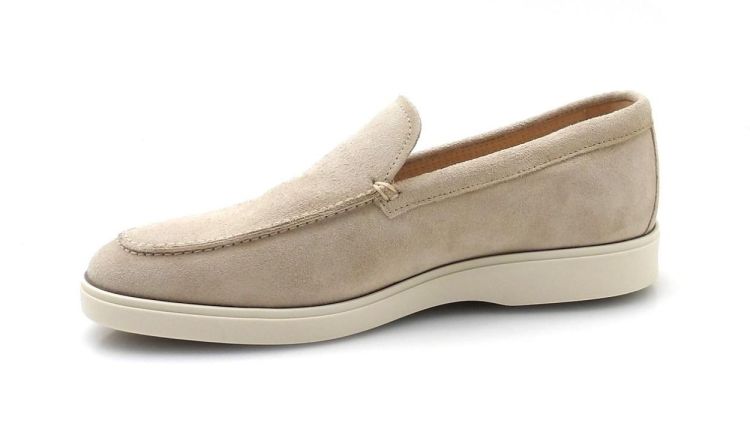 Berkelmans Palmeira (260115) - Reynders - Daenen