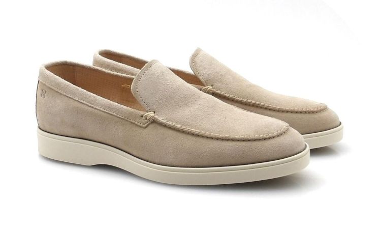 Berkelmans Palmeira (260115) - Reynders - Daenen