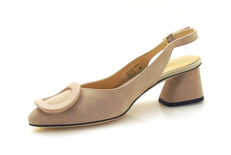 Brunate 51510 (250201) - Reynders - Daenen