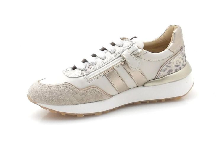 Chérie 856 (260171) - Reynders - Daenen