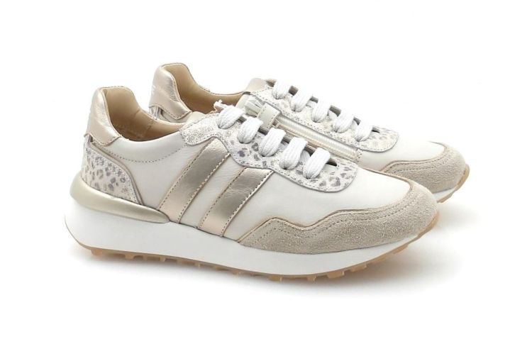 Chérie 856 (260171) - Reynders - Daenen