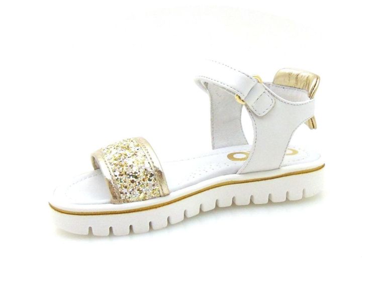 Ciao 3505 (210181) - Reynders - Daenen