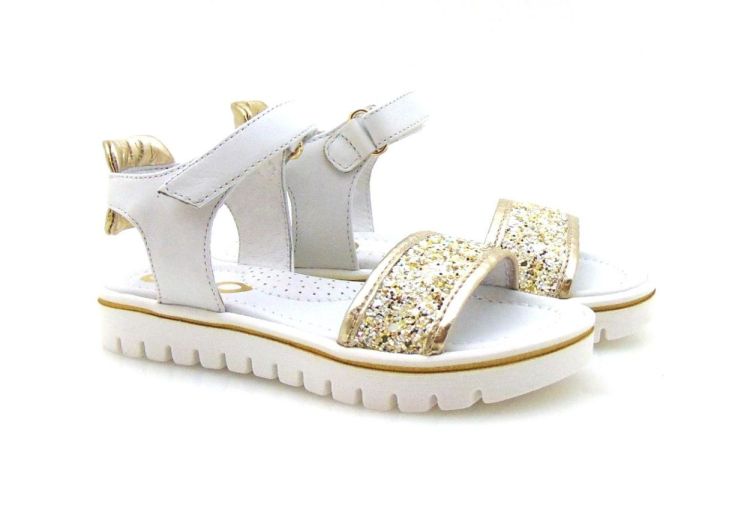 Ciao 3505 (210181) - Reynders - Daenen