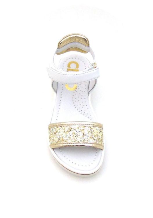 Ciao 3505 (210181) - Reynders - Daenen