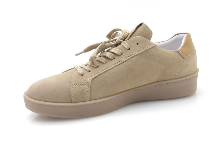 Concept 1559 (260346) - Reynders - Daenen