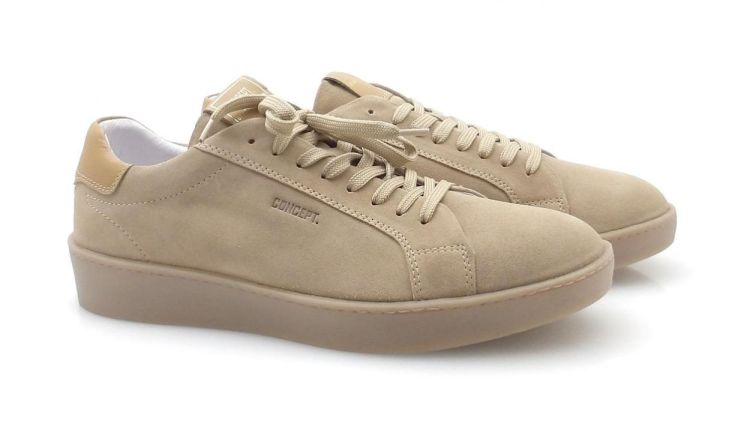 Concept 1559 (260346) - Reynders - Daenen