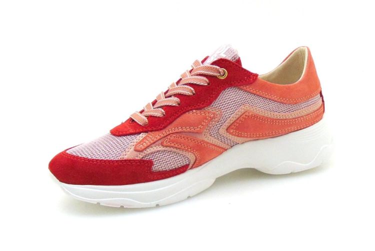 DL Sport 6540 (250052-399) - Reynders - Daenen