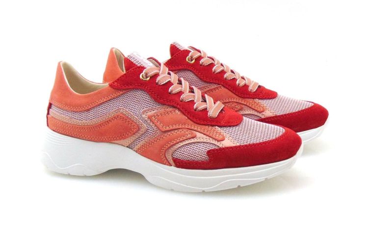 DL Sport 6540 (250052-399) - Reynders - Daenen