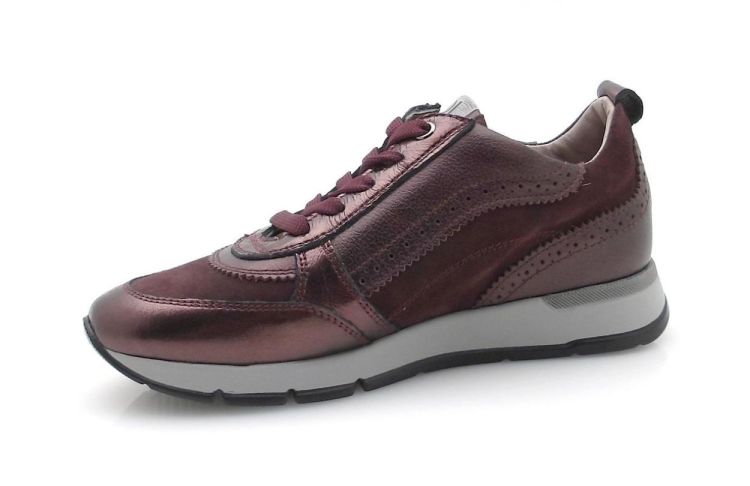 DL Sport 6719 (250689) - Reynders - Daenen