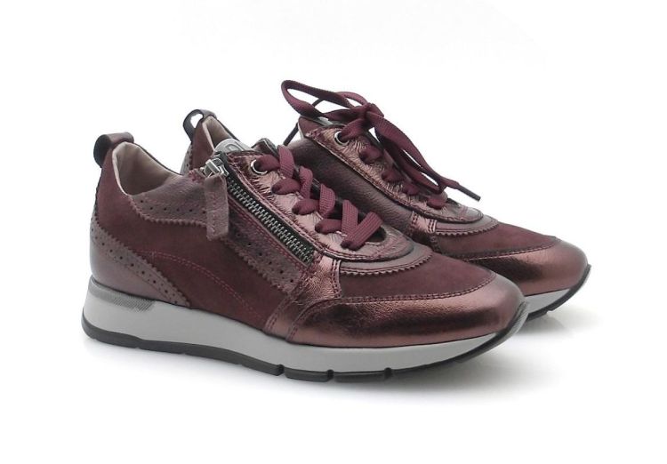 DL Sport 6719 (250689) - Reynders - Daenen