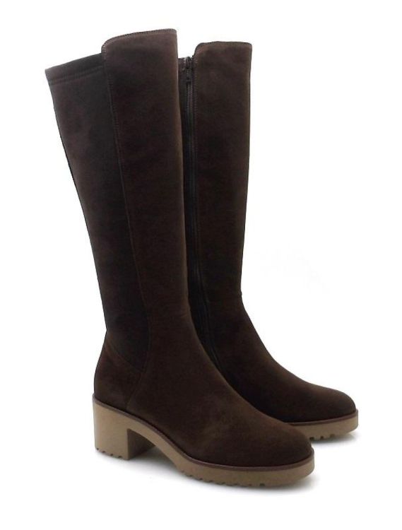 DL Sport 6800 (250590) - Reynders - Daenen