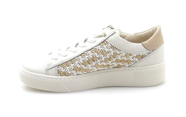 DL Sport 6905 (260042) - Reynders - Daenen