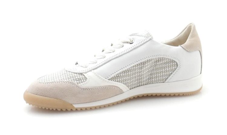 DL Sport 6954 (260204) - Reynders - Daenen