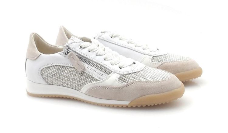 DL Sport 6954 (260204) - Reynders - Daenen