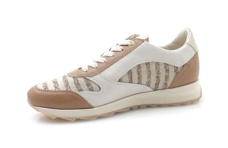 DL Sport 6958 (260204) - Reynders - Daenen