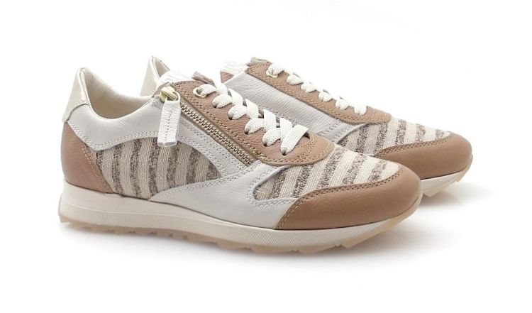 DL Sport 6958 (260204) - Reynders - Daenen