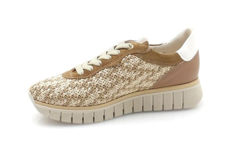 DL Sport 6971 (260071) - Reynders - Daenen