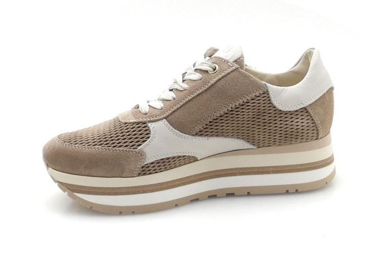 DL Sport 6982 (260042) - Reynders - Daenen