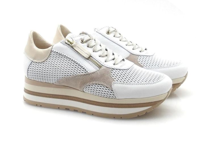 DL Sport 6982 (260042) - Reynders - Daenen