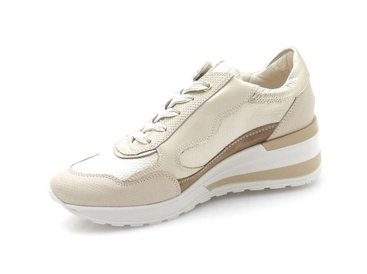 DL Sport 6999 (260071) - Reynders - Daenen