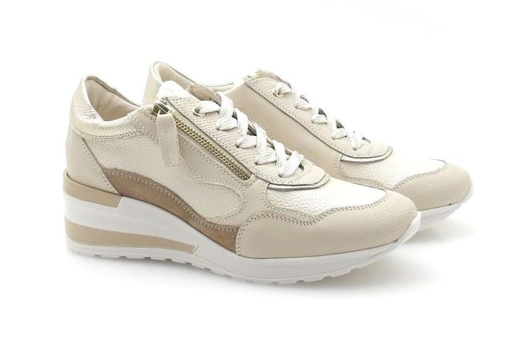 DL Sport 6999 (260071) - Reynders - Daenen