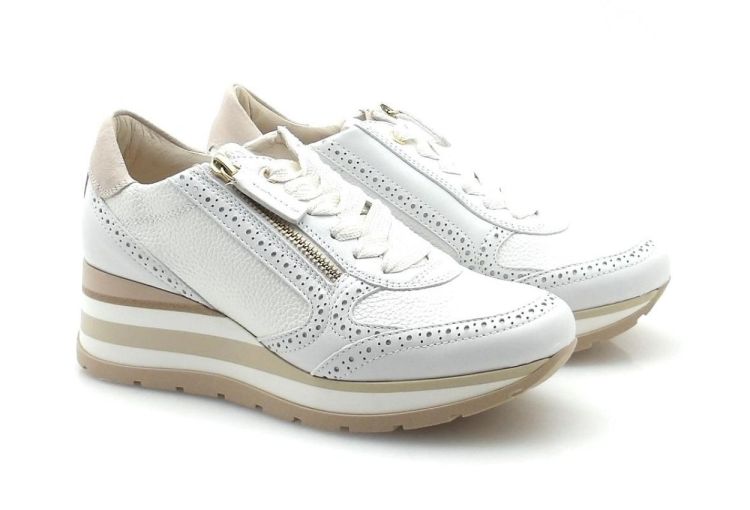 DL Sport 7008 (260042) - Reynders - Daenen