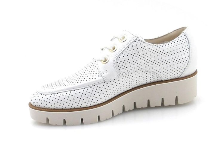 DL Sport 7017 (260071) - Reynders - Daenen