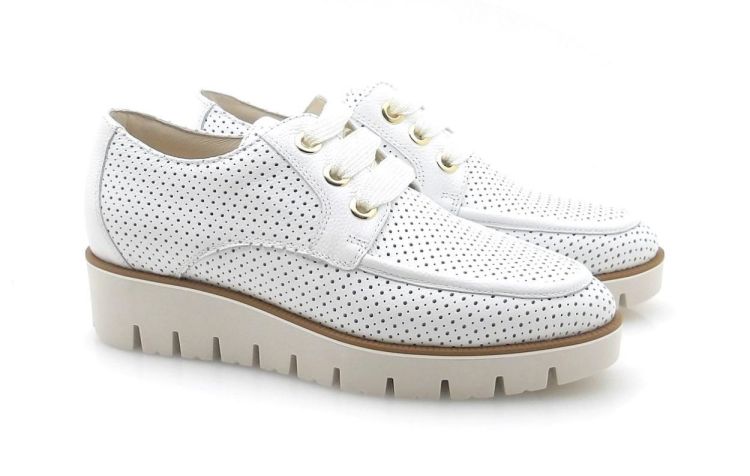 DL Sport 7017 (260071) - Reynders - Daenen