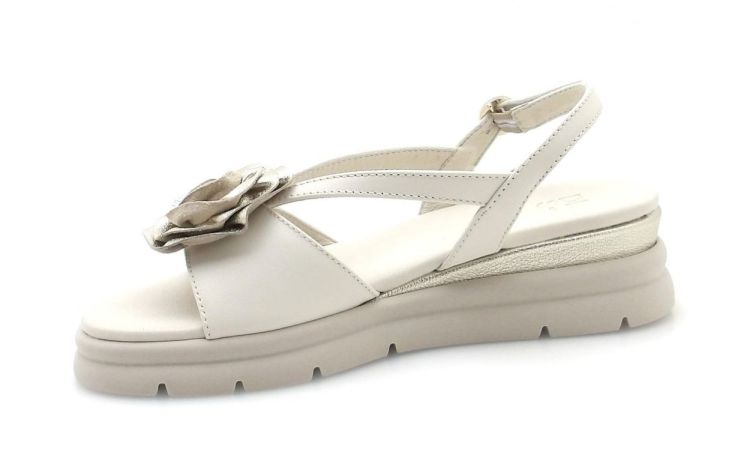 DL Sport 7045 (260221) - Reynders - Daenen