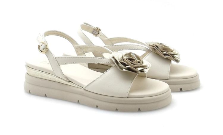 DL Sport 7045 (260221) - Reynders - Daenen