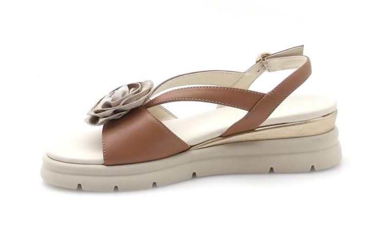 DL Sport 7045 (260221) - Reynders - Daenen