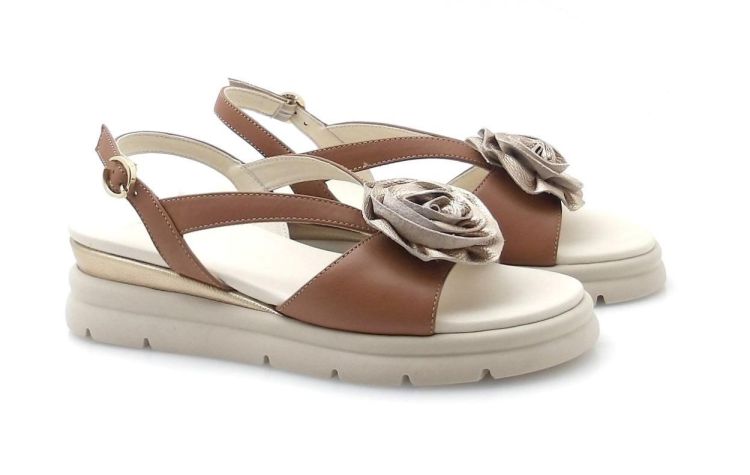 DL Sport 7045 (260221) - Reynders - Daenen