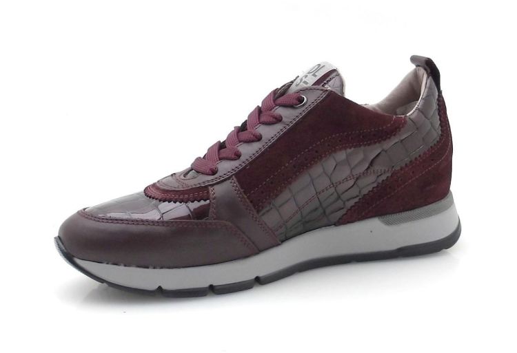DL Sport 7116 (260621) - Reynders - Daenen